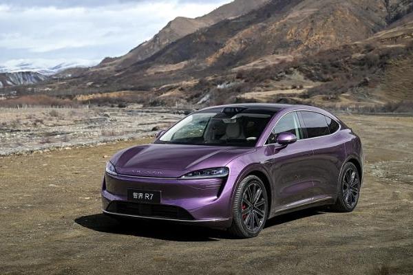 唯有特斯拉通过测试？多位博主自发实测倒车AEB