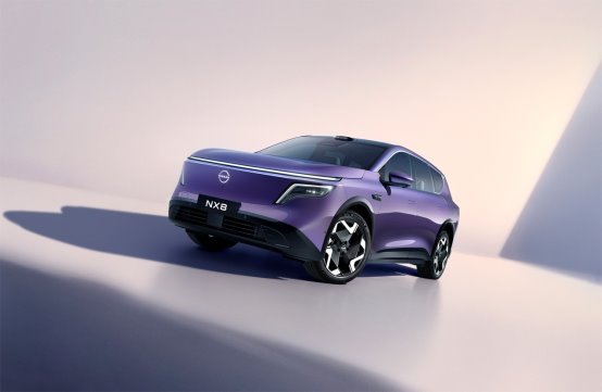 800V+宁德时代5C 东风日产NX8公告图公布
