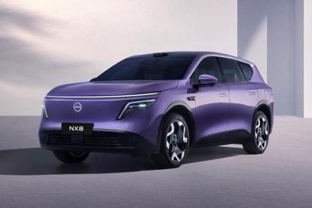 800V+宁德时代5C 东风日产NX8公告图公布