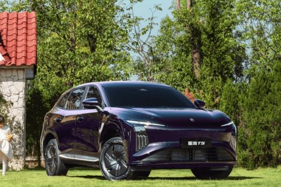 东风风行星海T5开启预售 预售价15.39-16.19万