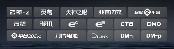 比亚迪30.55%复购率一骑绝尘，揭秘存量市场增长密码