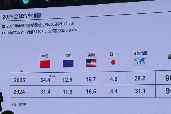 多元动力时代，谁能为中国车企出海提供“全球适配”能力？