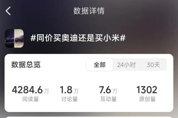 30万元，买奥迪还是买小米？