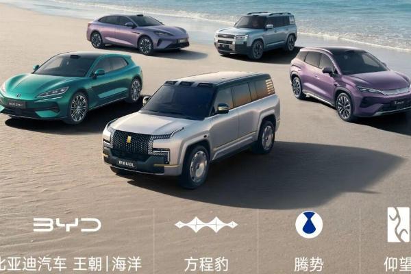 王传福：比亚迪五年内将成全球最大车企