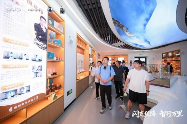 闪充丝路，智行万里——比亚迪护航海上新丝路