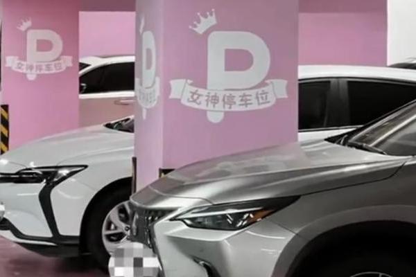 女神加宽停车位引争议，泊车技术无性别之分