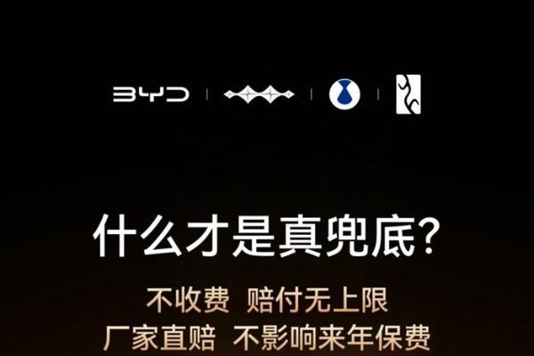 辅助驾驶进入“责任竞争”阶段，兜底机制需要看清细节