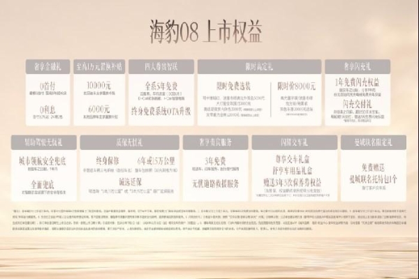 阔境自闪耀旗舰驾临——比亚迪海豹08新车上市发布会·合肥站圆满落幕