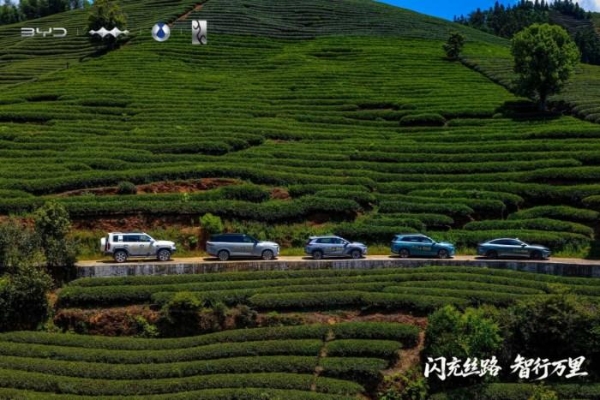 比亚迪驰骋丝路 解码药瓷丝茶商贸印记