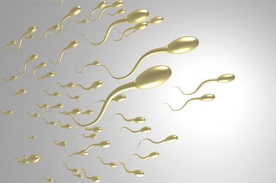 神奇！科学家发现头部较宽的精子更有可能“集体游动”