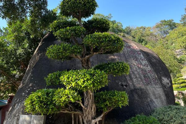 九寨沟几月去旅游最好？九寨沟旅游最佳月份解读