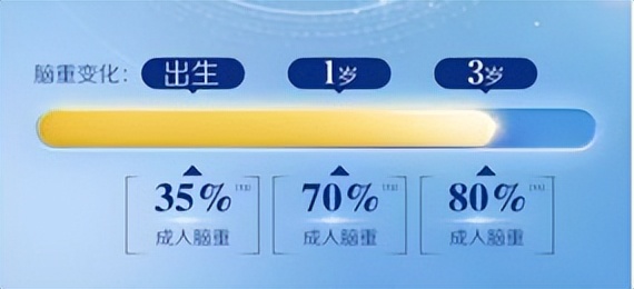 对大脑发育最好的奶粉是哪个？本文给你答案