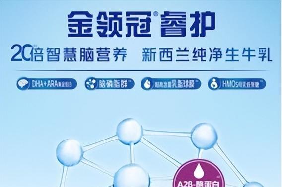 对大脑发育最好的奶粉是哪个？本文给你答案 