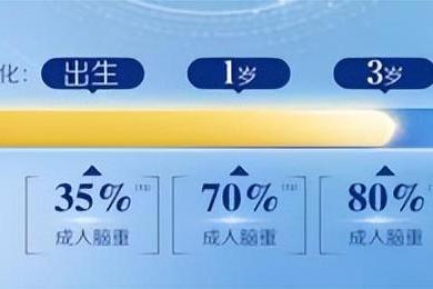 对大脑发育最好的奶粉是哪个？本文给你答案 