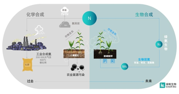 合成生物固氮技术开发平台绿氮生物完成千万元种子轮融资，源码资本独家投资