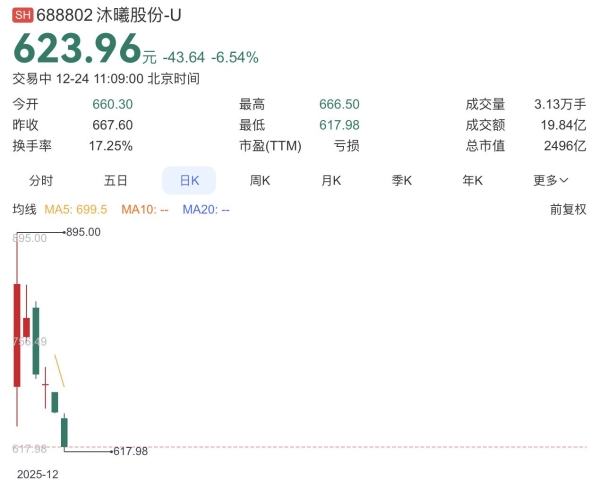 起太高了！国产GPU双雄股价下跌不止