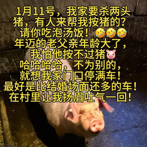 火爆全网的合川“刨猪宴”，三大运营商都来了