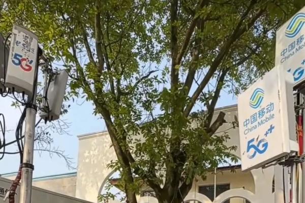 火爆全网的合川“刨猪宴”，三大运营商都来了