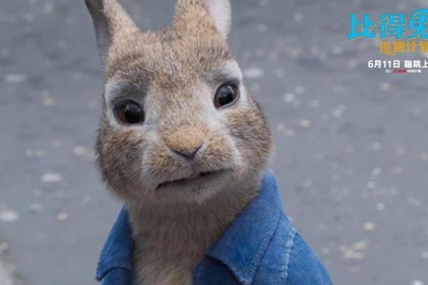 《比得兔2：逃跑计划》预售开启 萌兔天团引爆全民“吸兔”热潮