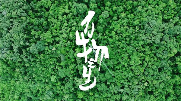 咪咕视讯与4K花园联合出品，国内首部8K生态人文纪录片《万物之生》先导片发布