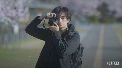 Netflix原创爱情电影《我的樱花恋人》定档2022年3月24日上线