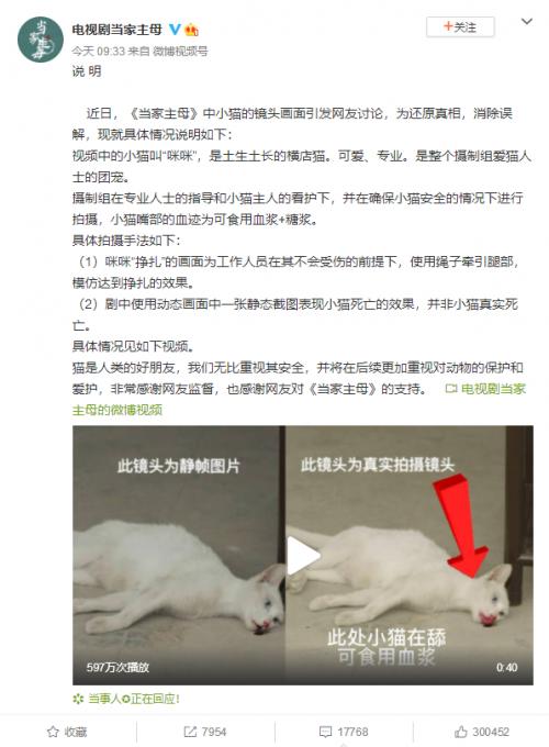 热播剧《当家主母》被质疑虐杀猫 剧组回应：猫当妈妈了