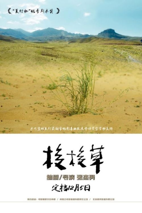 电影《梭梭草》将于12月5日全国上映 张杰勇执导