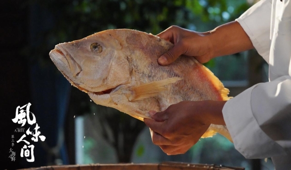 （《风味人间3•大海小鲜》美食篇：腌制后的红鳍笛鲷.jpg