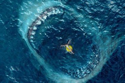 吴京加盟华纳兄弟与中国合拍电影《巨齿鲨2：海沟》