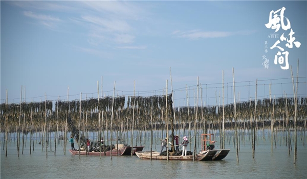 《风味人间3·大海小鲜》下周正式收官 记录美食代代相传赓续不断