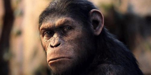 新版《人猿星球》曝拍摄计划 有望于年底开机拍摄