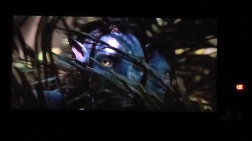 《阿凡达2：水之道》新预告外网偷跑 再访潘多拉星球