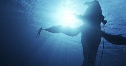 《阿凡达2：水之道》曝预告海报 潘多拉蔚蓝瑰丽的水世界女孩水底遨游