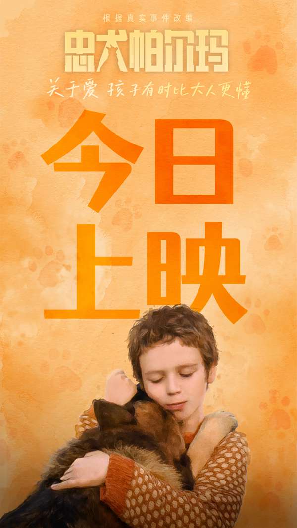 让孩子受益一生的治愈系电影《忠犬帕尔玛》今日上映