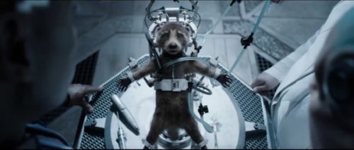 漫威新片《银河护卫队3》热映 火箭浣熊为什么叫火箭？