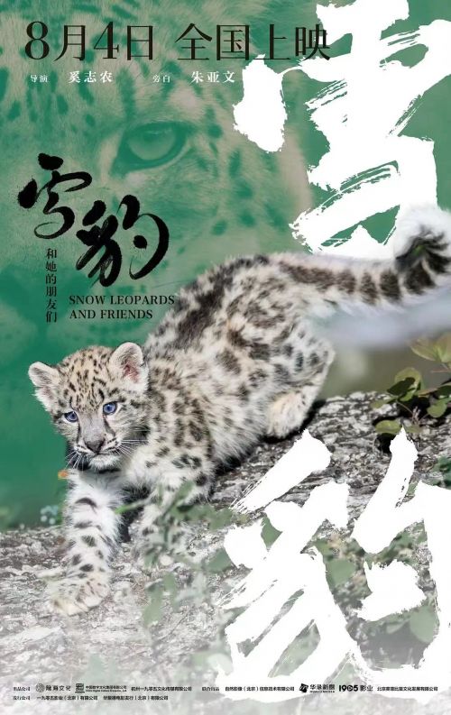 纪录电影《雪豹和她的朋友们》：与自然共生的壮美叙事