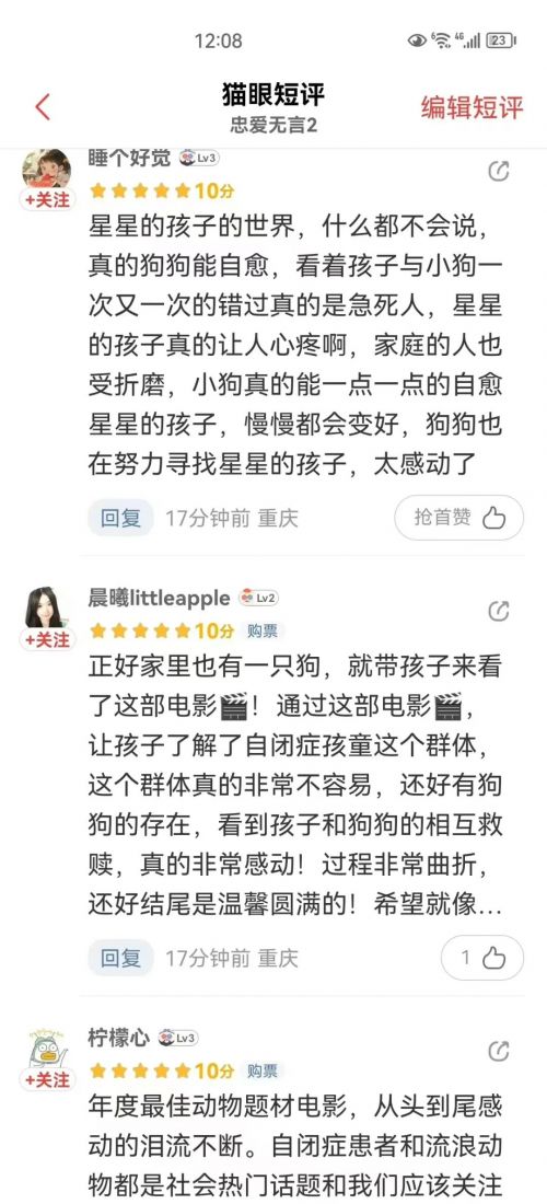 《忠爱无言2》：温情治愈，自闭症儿童与流浪狗的感人故事