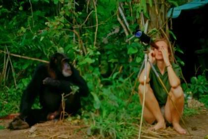纪录电影神作！《珍·古道尔的传奇一生》展现人与自然的对话
