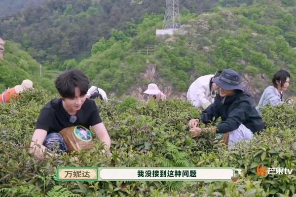 《田间的少年2》茗气家族试茶会温情开启，品茶谈心暖意融融