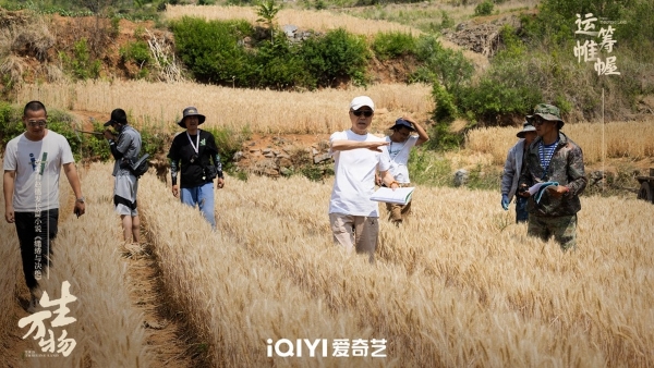 年代情感史诗剧《生万物》杀青，以角色命运抒写时代变革