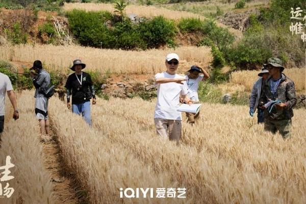 年代情感史诗剧《生万物》杀青，以角色命运抒写时代变革