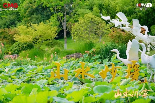 西塞山前，彩云之南，与《山水间的家》共赴诗意乡村！