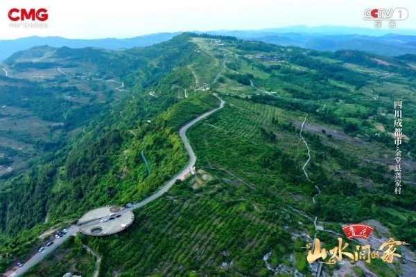 青山“榄”梦助文旅融合，茶叶天麻倡健康理念，《山水间的家》于绿水青山画生态未来！