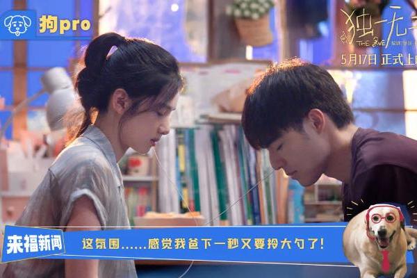 电影《独一无二》全新特辑“狗pro”观察室爆料全新大“瓜” 张婧仪辛云来兄妹助攻互为