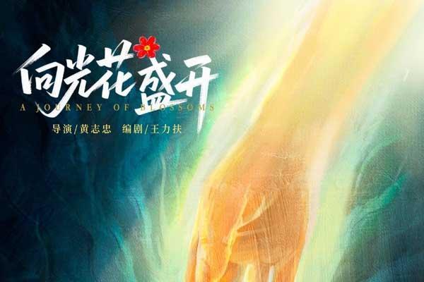电影《向光花盛开》定档10月24日 温暖诠释青春成长与治愈 首次聚焦青少年心理健康