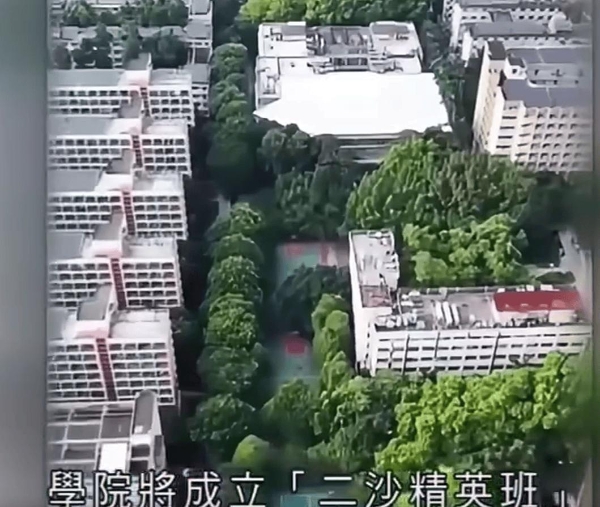 全红婵去暨南大学没法好好读书！网友真是多虑了
