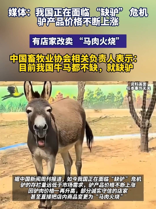 驴肉价格上涨 中国正面临缺驴问题