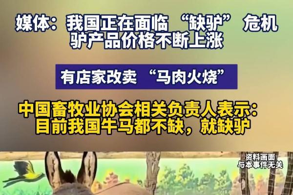 驴肉价格上涨 中国正面临缺驴问题