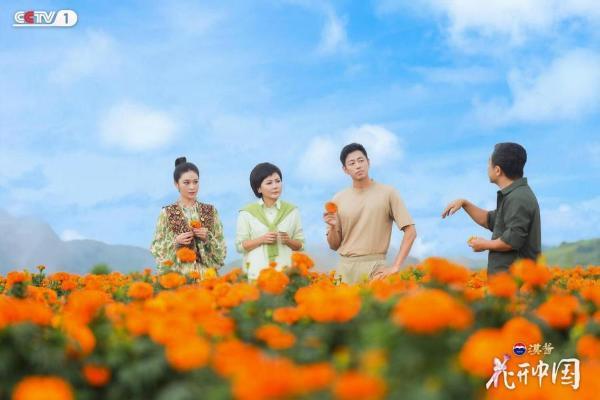 滇南花开红河岸，探寻“一朵花”的中国式浪漫