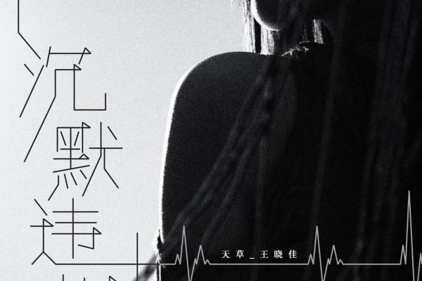 王晓佳《自证危机》高燃来袭 撕裂网络伪规则